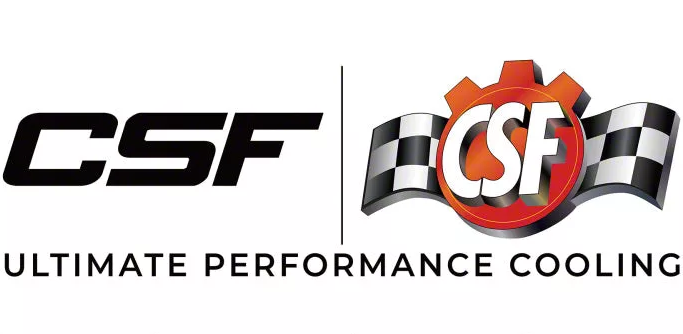 CSF