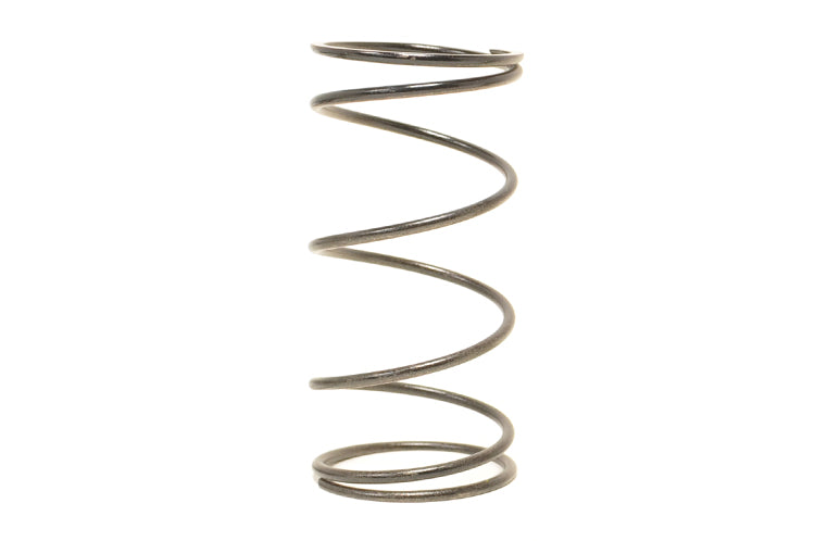 001995 Black TiAL MVr MVS Wastegate Spring