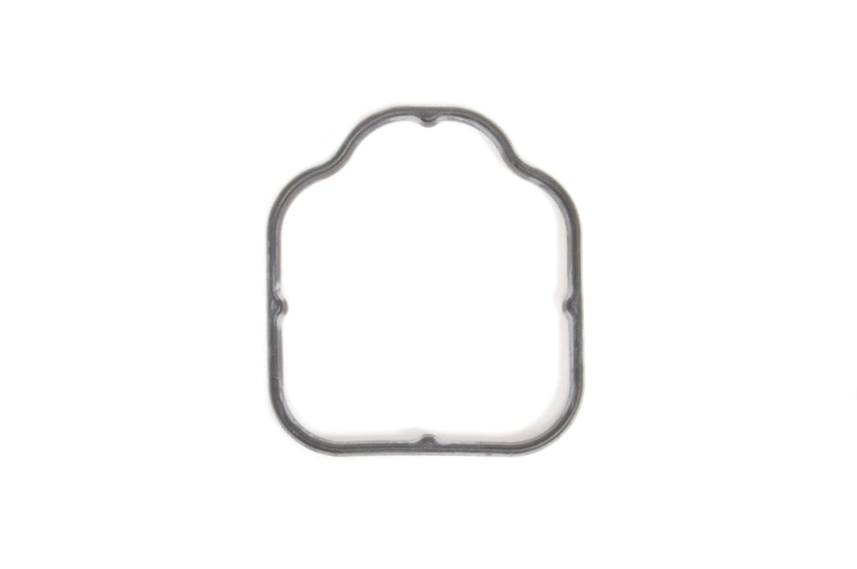 Audi OEM Water Pipe Gasket for R8 Huracan Gallardo (07L103121R)