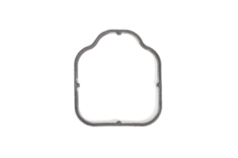 Audi OEM Water Pipe Gasket for R8 Huracan Gallardo (07L103121R)