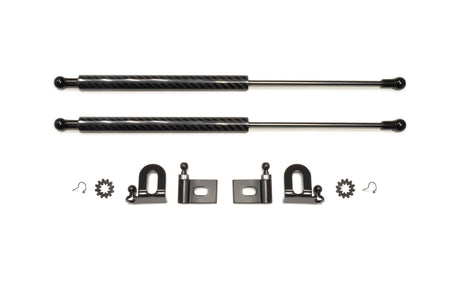 GReddy Carbon Fiber Hood Damper for Evo X (18530101)