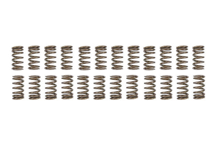 22130-24 Manley Valve Springs Only for 2JZGTE Toyota Supra
