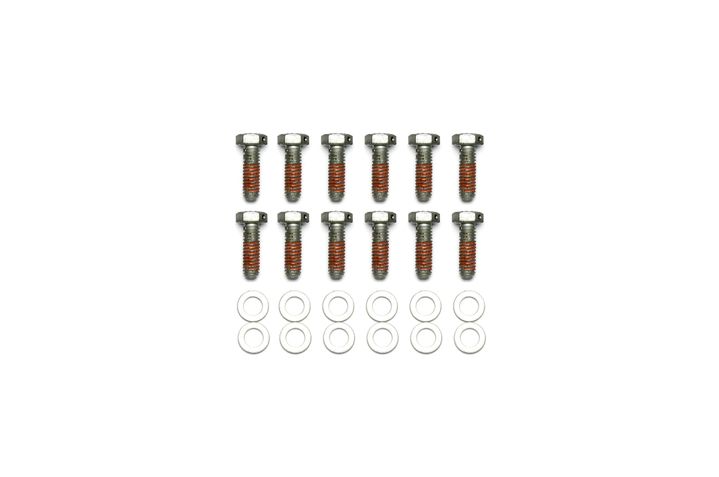 Wilwood TX6R Rotor Ring Bolt Kit for 2021+ Ram TRX (230-14086)