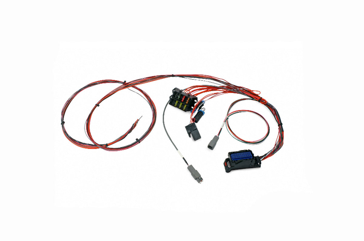 30-3705 AEM Infinity Series 5 Mini Universal Harness