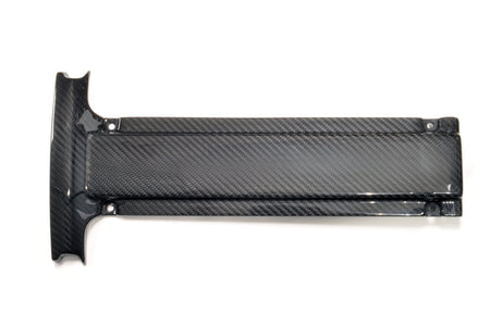 APR Carbon Fiber Spark Plug Cover for Evo 7/8/9 (CBE-EVOPLUG)