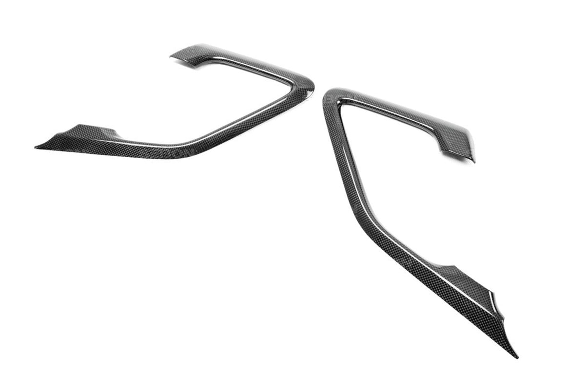 CFI0910NSGTR-C Seibon R35 GTR Carbon Fiber Interior Door Trim