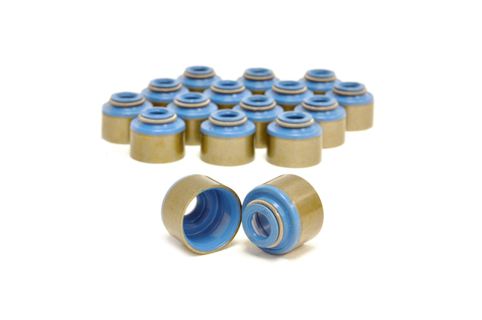 GSC 4G63 Evo DSM Valve Stem Seals (GSC1002)