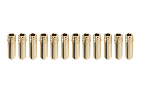 GSC R35 GTR Exhaust Valve Guides with Stopper (Set of 12)