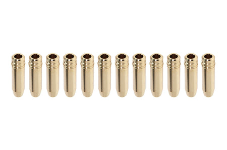 GSC R35 GTR Intake Valve Guides with Stopper (Set of 12)