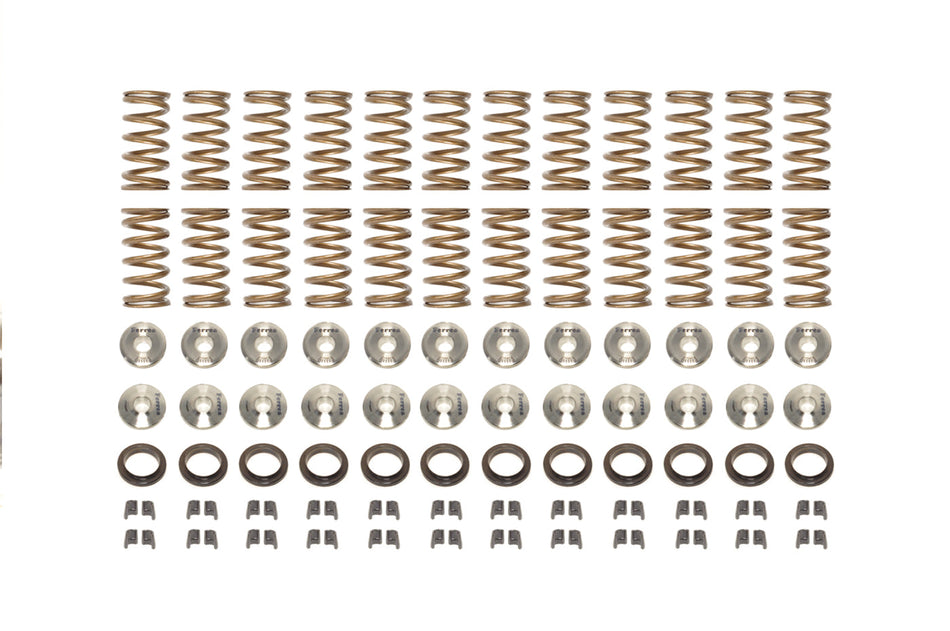 Ferrea Single Valve Spring Kit for R35 GTR (KT4016)