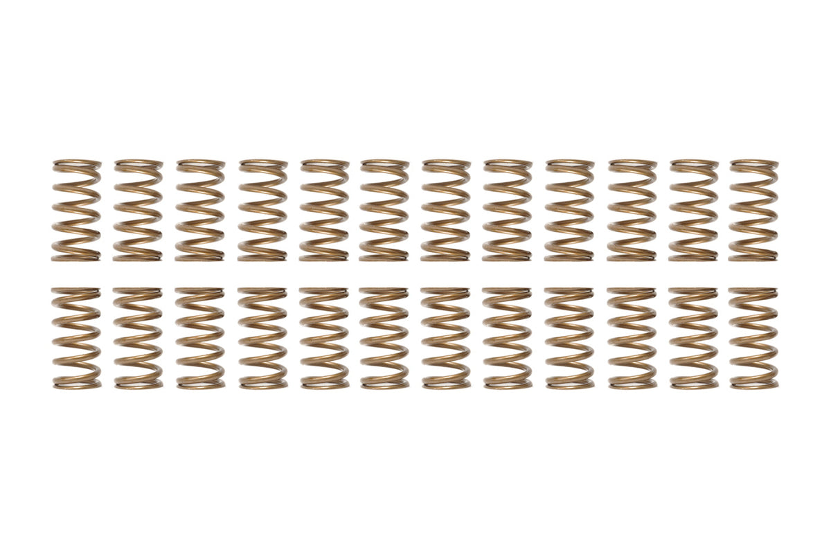 Ferrea Single Valve Springs for R35 GTR (Set of 24 S10137-24)