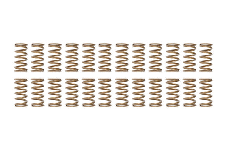 Ferrea Single Valve Springs for R35 GTR (Set of 24 S10137-24)