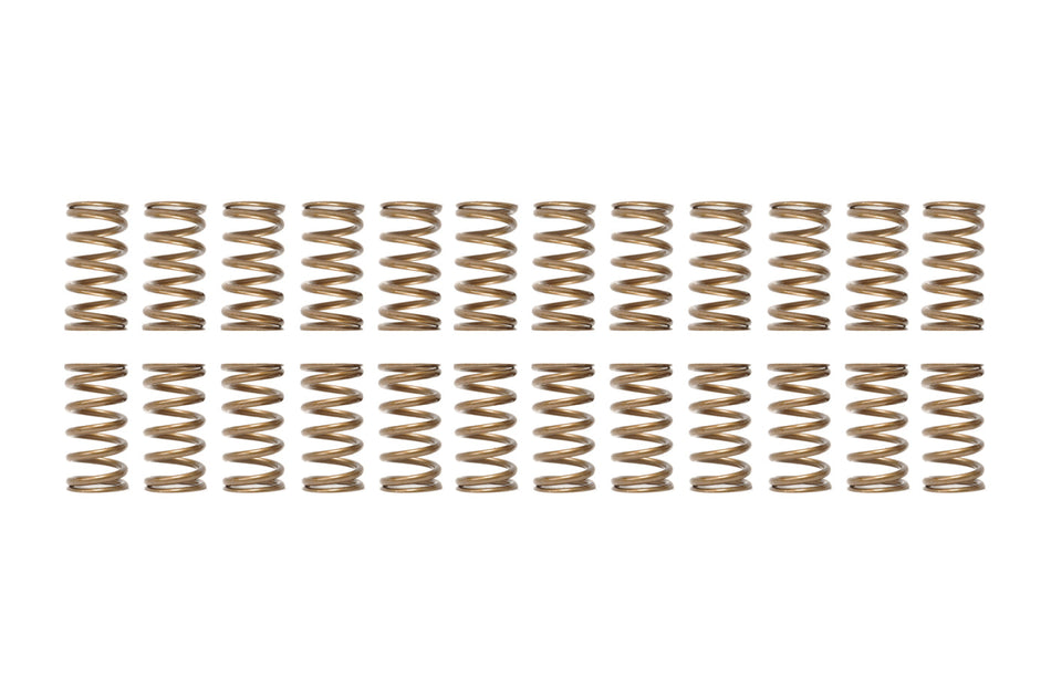 Ferrea Single Valve Springs for R35 GTR (Set of 24 S10137-24)