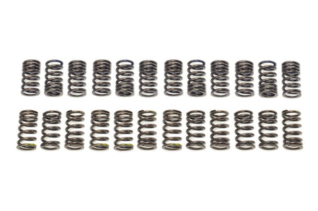 Tomei Valve Spring Set for R35 GTR Image © STM Tuned Inc.