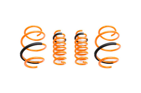 Megan Racing Lowering Springs for MKV Supra (MR-LS-TSU20)