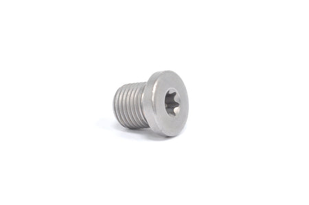 M10x1x10 Plug (N91119401)