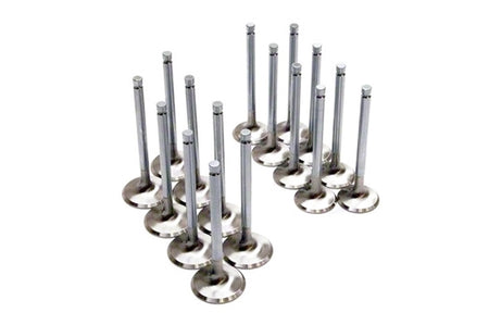 BC Brian Crower Intake and Exhaust Valves for Mitsubishi Evo X