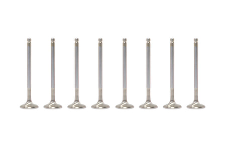 BC 4G63 Evo DSM (Set of 8 Exhaust Valves)
