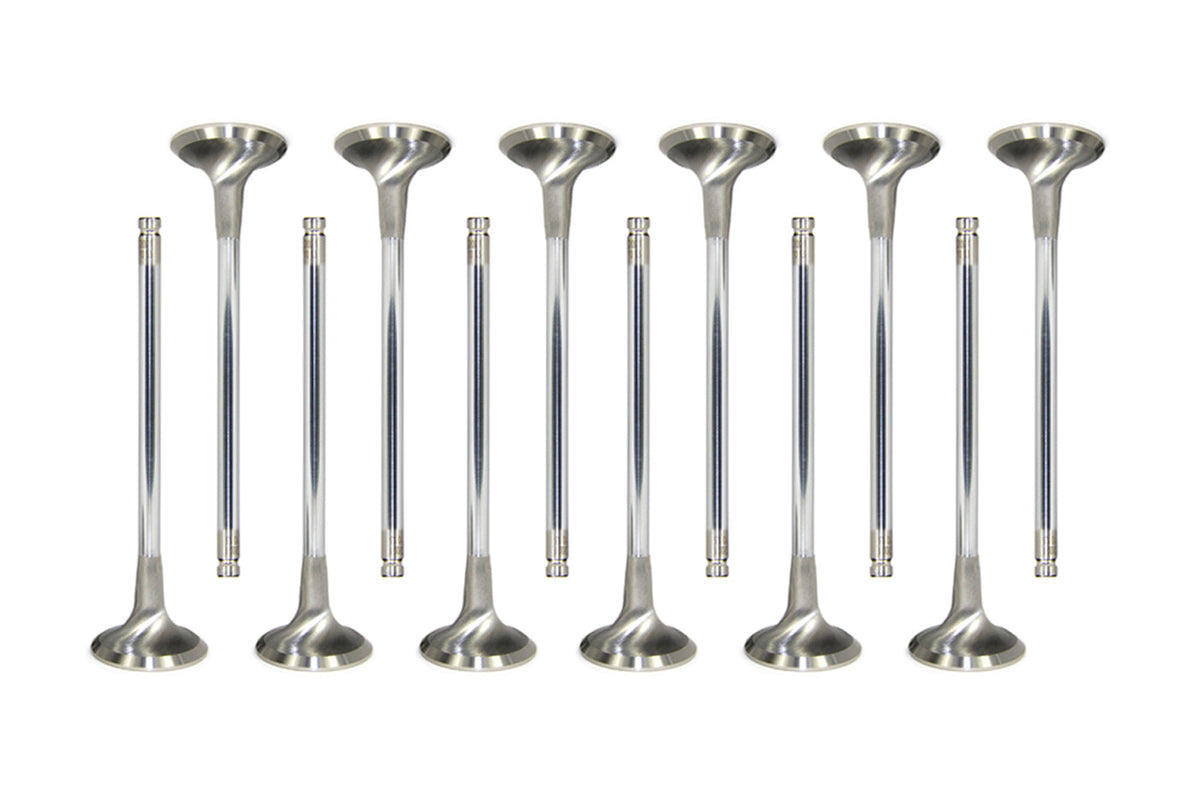 GSC R35 GTR Intake Valves (Set of 12)