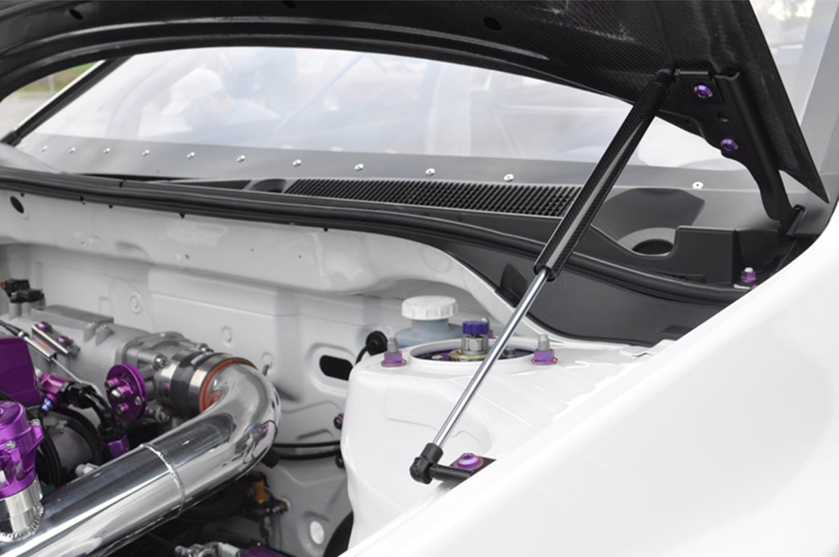 Prosport Carbon Fiber Hood Dampers for Evo 7/8/9 (HD-MITS-EVO-789)