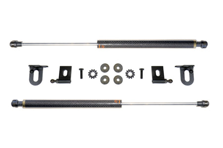 Prosport Carbon Fiber Hood Dampers for Evo X (HD-MITS-EVO-10)