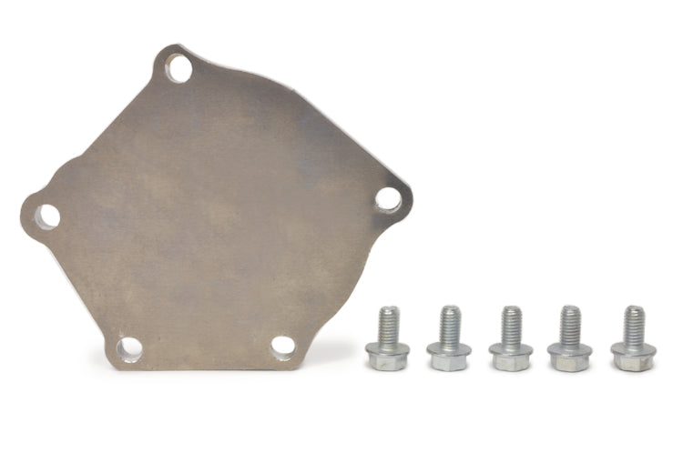 Water Pump Block Off Plate and Bolts