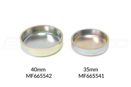 MF665541 vs MF665541