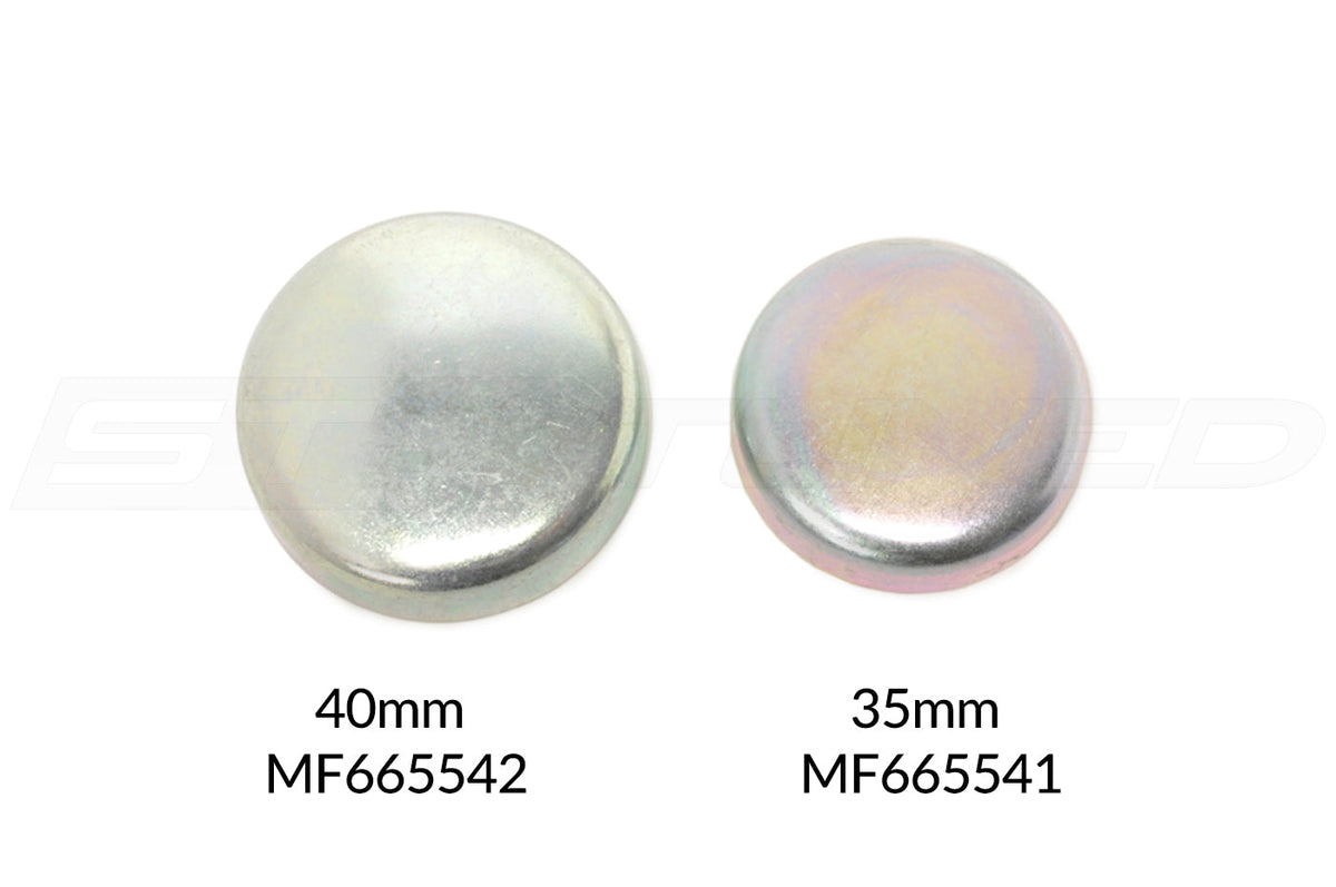 MF665541 vs MF665541