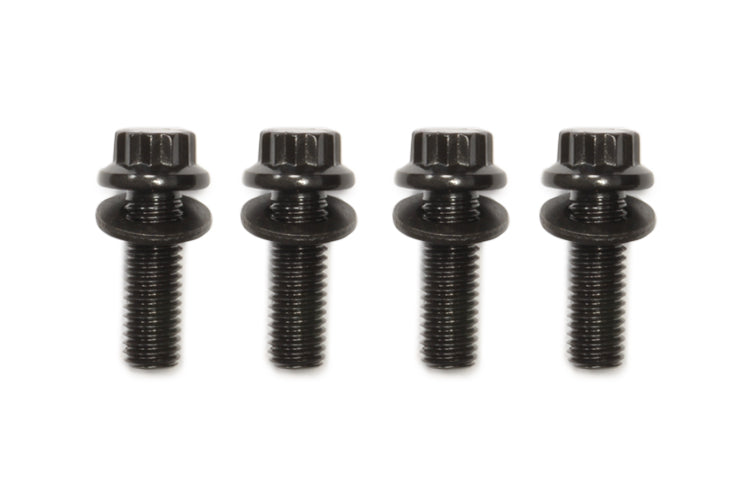 T3 Manifold Bolt Washer